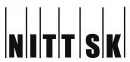 Logo projektu NITT SK